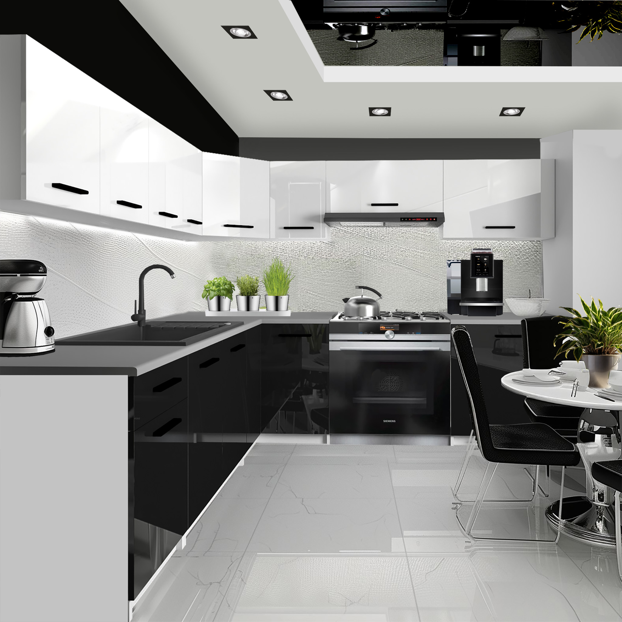 Cuisine moderne en noir et blanc avec plantes