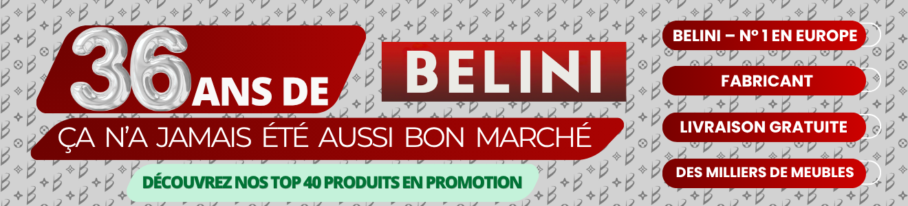 36 ans de BELINI