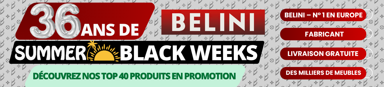 36 ans de BELINI