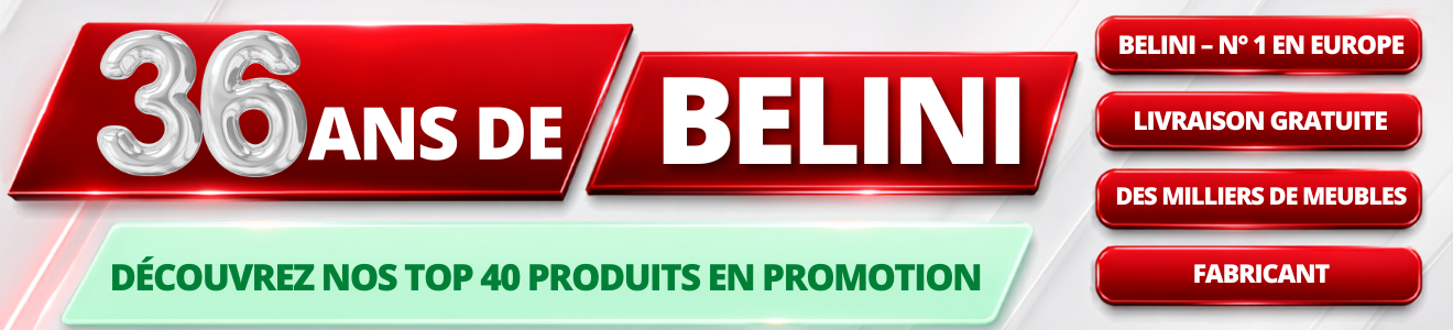 36 ans de BELINI